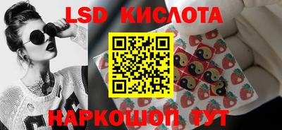 гидропоника Будённовск