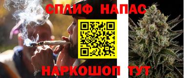 гидропоника Будённовск