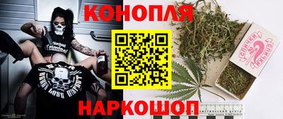 гидропоника Будённовск