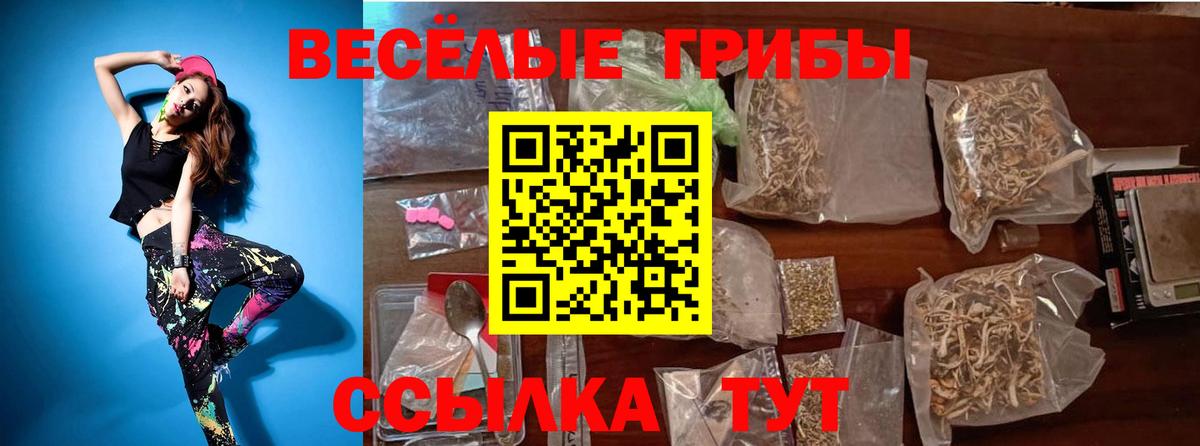 Галлюциногенные грибы Magic Shrooms  Вход с VPN  Юрга 